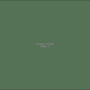 Example Product 2319