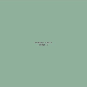 Example Product 2322