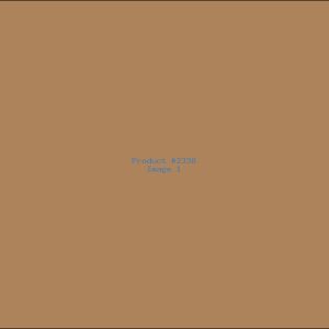 Example Product 2338