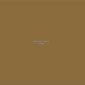 Example Product 2353