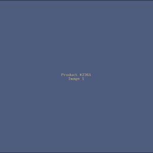 Example Product 2361