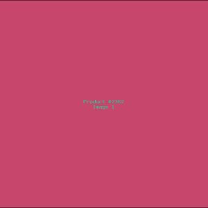 Example Product 2362