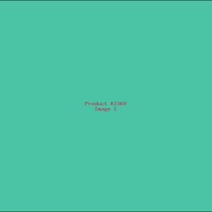 Example Product 2369