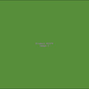 Example Product 2374