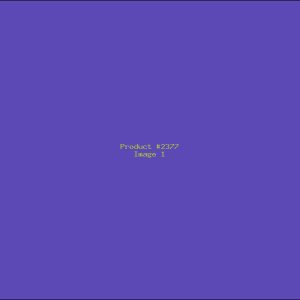 Example Product 2377