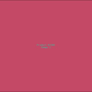 Example Product 2388