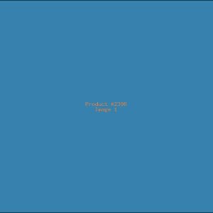 Example Product 2398