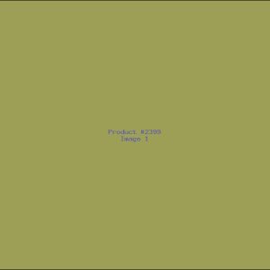 Example Product 2399