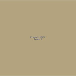 Example Product 2431