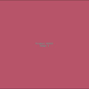 Example Product 2433