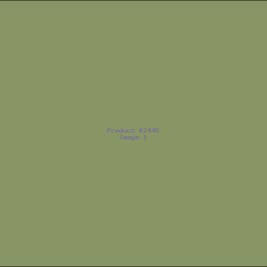 Example Product 2446