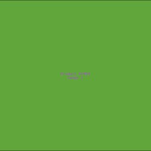 Example Product 2454