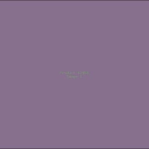 Example Product 2458