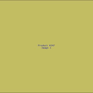 Example Product 247