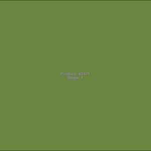 Example Product 2471