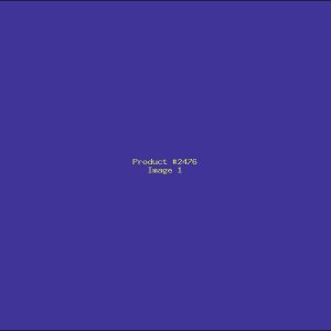 Example Product 2476