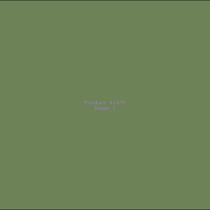 Example Product 2478