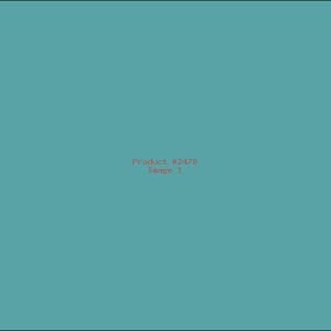 Example Product 2479