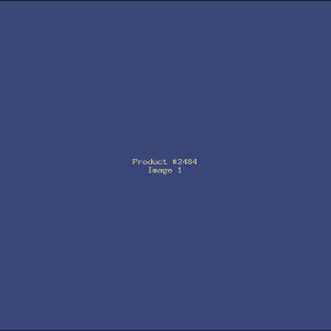 Example Product 2484