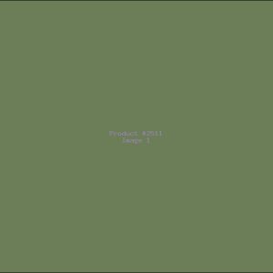 Example Product 2511