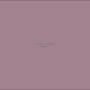 Example Product 2520