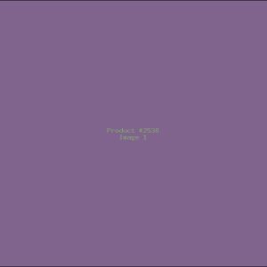 Example Product 2538