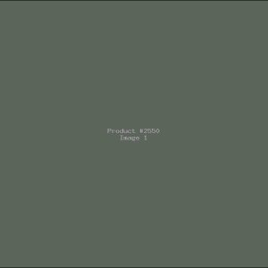 Example Product 2550