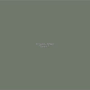 Example Product 2562