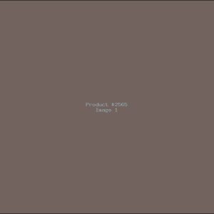 Example Product 2565