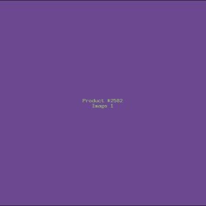 Example Product 2582