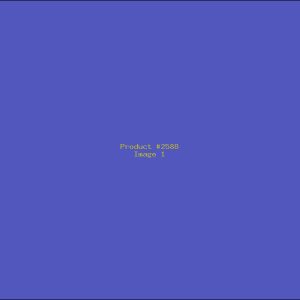 Example Product 2588