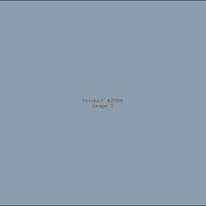 Example Product 2589