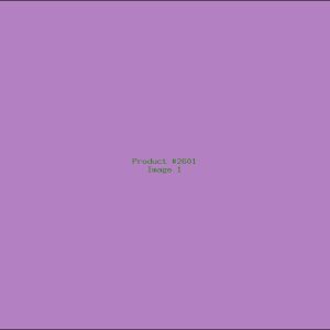 Example Product 2601