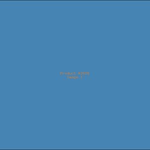 Example Product 2628