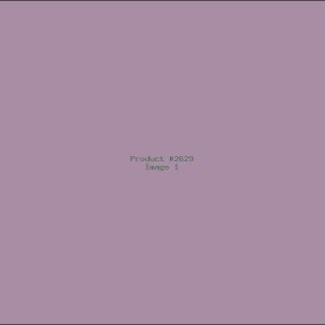 Example Product 2629