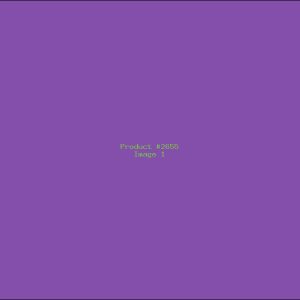 Example Product 2655