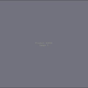 Example Product 2656