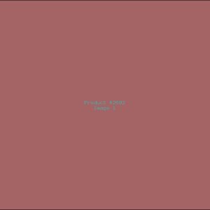 Example Product 2692