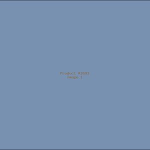 Example Product 2693