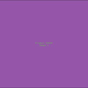 Example Product 2694