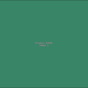 Example Product 2696