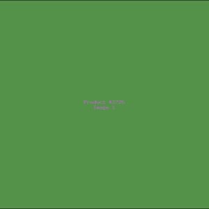 Example Product 2725