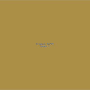 Example Product 2730