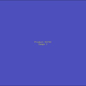 Example Product 2743