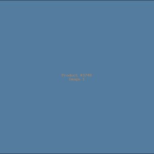 Example Product 2748