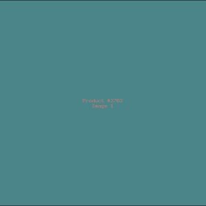 Example Product 2762