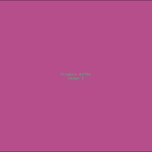 Example Product 2784