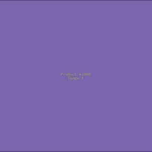 Example Product 2809