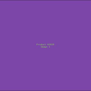 Example Product 2828