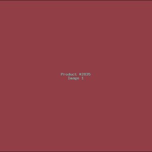 Example Product 2835